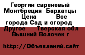 Георгин сиреневый. Монтбреция. Бархатцы.  › Цена ­ 100 - Все города Сад и огород » Другое   . Тверская обл.,Вышний Волочек г.